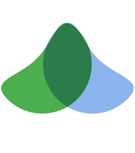 Nomadic Effects Logo